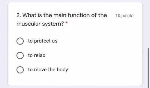 What is the main function of the muscular system ?