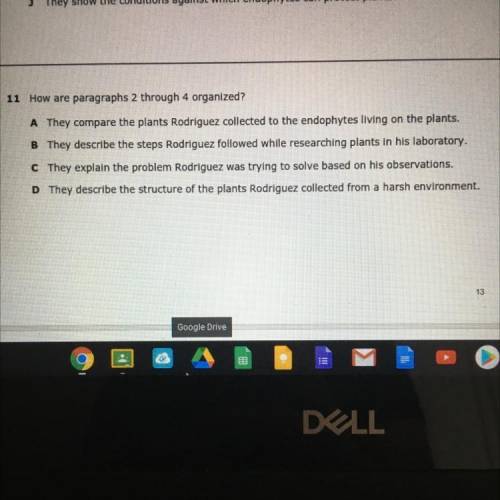 How are paragraphs 2 through 4 organized?