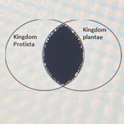 A student wants to use a Venn diagram to show the characteristics

two kingdoms of organisms. The