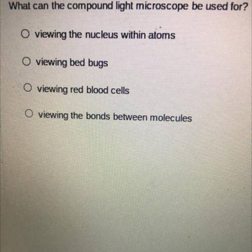 What can the compound light microscope be used for?