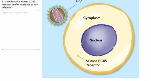 Plz help How does the mutant CCR5 receptor confer resistance to HIV infection?