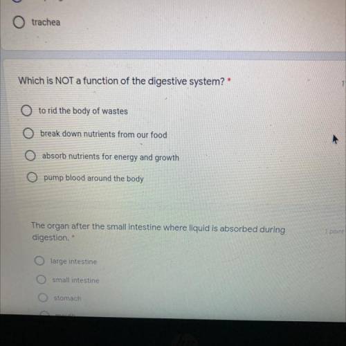 Which is NOT a function of the digestive system? *