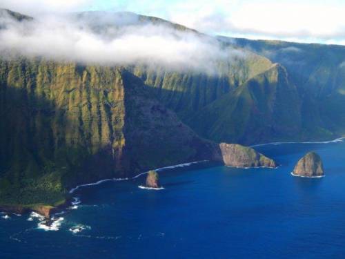 Describe the causes of Weathering and Erosion here: (image 1 with grass)

Hawaii Coastal Cliffs ar