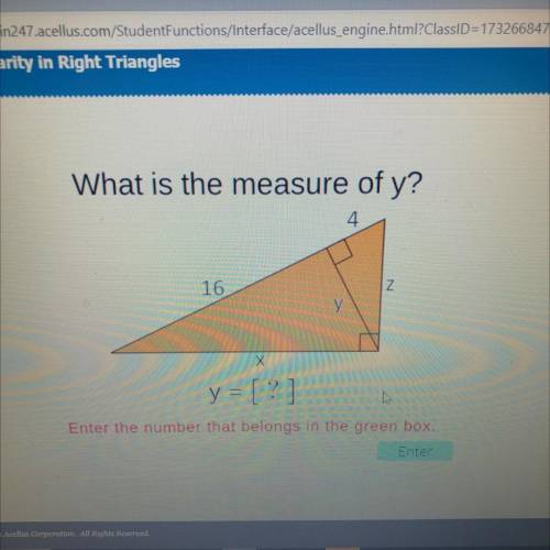 What is the measure of y?