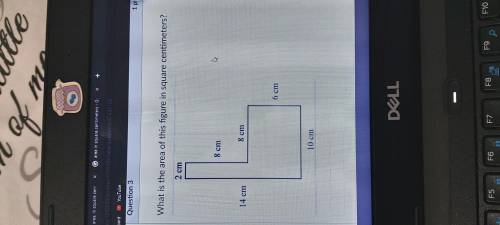 What is the area of this figure in square meters?