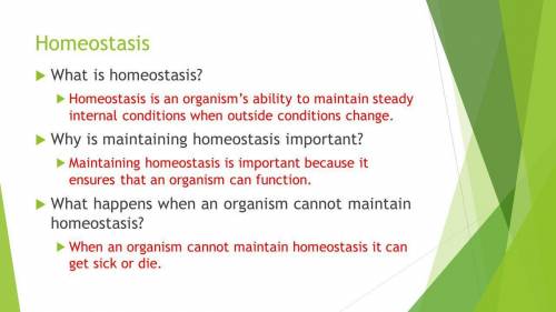 Why is it important to maintain Homeostasis