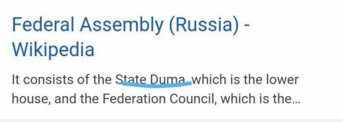 The Federal Assembly is made up of the

House of Representatives
State Duma
Federation Council
Sena