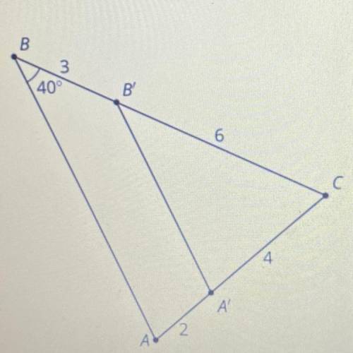 Right angle ABC is taken by a dilation with center P

and scale factor to angle A'B'C'.
12
What is