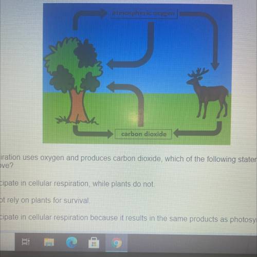 Given that cellular respiration uses oxygen and produces carbon dioxide which of the following stat