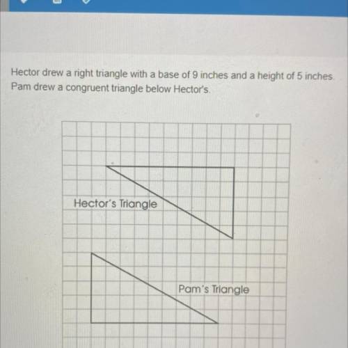 Hector drew a right triangle with a base of 9 inches and a height of 5 inches.

Pam drew a congrue