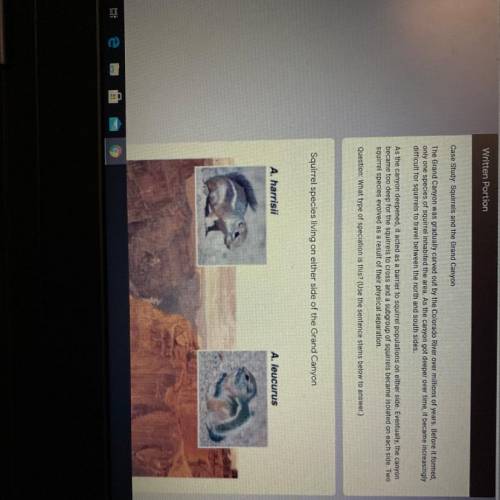 CAN SOMEONE HELP ME PLS??!!

Claim: The squirrels in the Grand Canyon are an example of __________