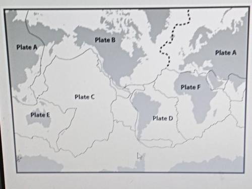 4. Which plate is aligned with the west coast of North America? O Pacific 0 Indo-Australian African