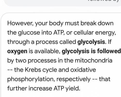 When oxygen is present, glycolysis is followed by

A. lactic acid fermentation
B. alcoholic ferment