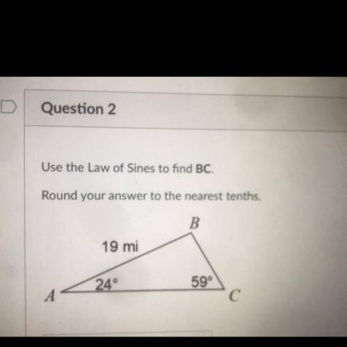 Need help with math plz thank you