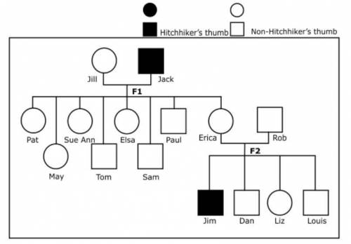 The pedigree below shows the inheritance pattern of hitchhiker's thumb in a multigenerational famil