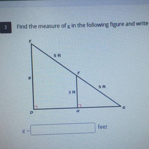 Find the measure of g