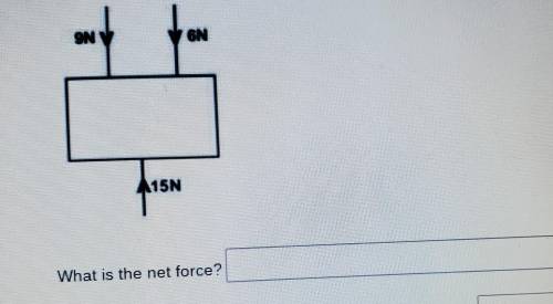 9M 6N 15N What is the net force.​