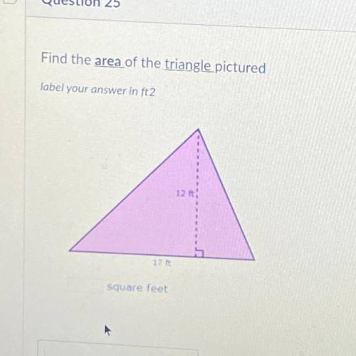 Find the area of the triangle pictured 
please answer!! will give brainliest
