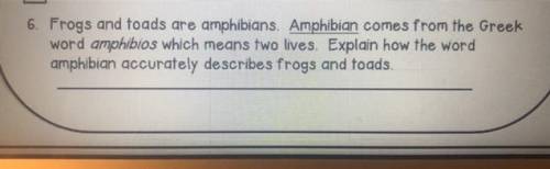 Help! This is about frogs and toads.