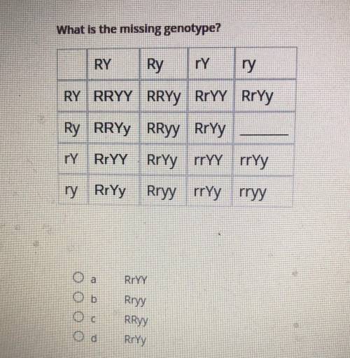 What is the missing genotype?