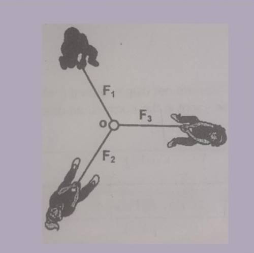 Which of the forces are the equilibrant force? explain ​