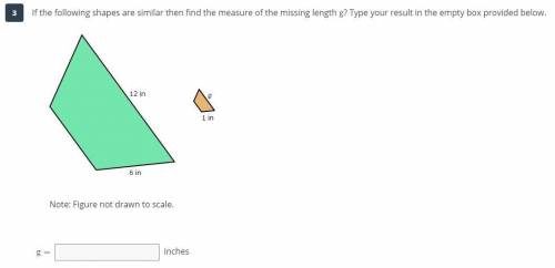 If the following shapes are similar then find the measure of the missing length g? Type your result