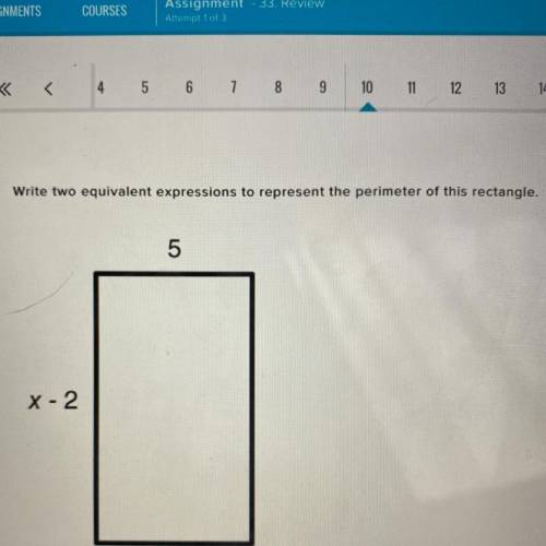 Write two equivalent expressions to represent the perimeter of this rectangle