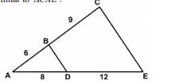 In the diagram below BD is parallel to CE with AB=6 BC=9 AD=8 and DE=12. Which of the following map