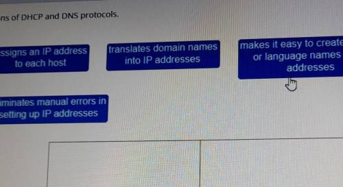 Classify the functions of dhcp and dns protocols​
