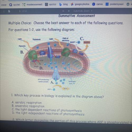 Which key process in biology is explained in the diagram above?