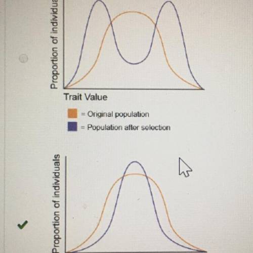 Which graph represents selection that may lead to reduced variation in a population

The answer is