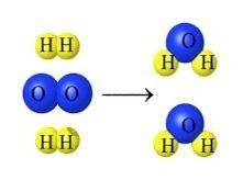What evidence does the image below give for the Law of Conservation of Mass?

A. The number of hyd