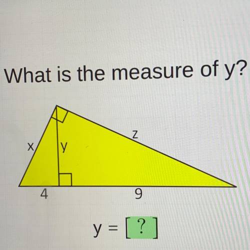 What is the measure of y?
Z
X
ly
4
9
y = [?]