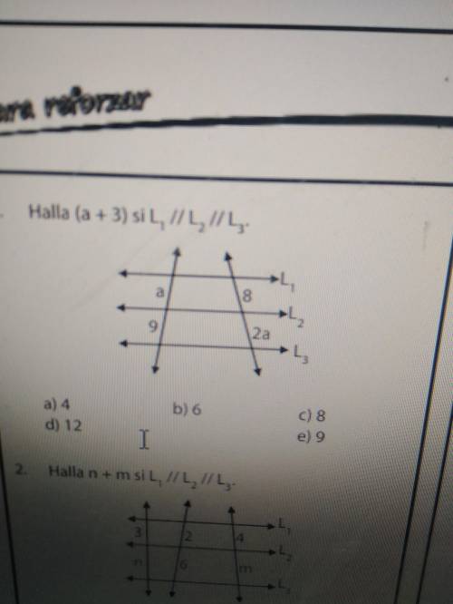 Halla (a+3)si L1//L2//L3.