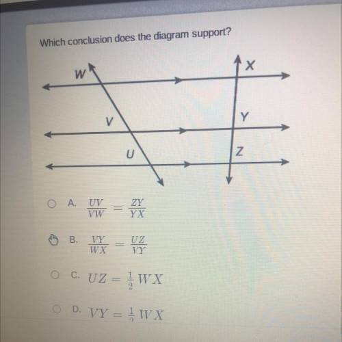 Which conclusion does the diagram support?
Plzzz help
