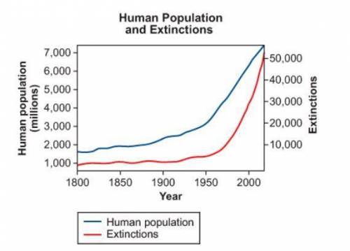 A researcher created the graph showing the human population compared to the total

number of speci