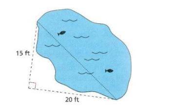 You swam the length of the pond shown below. How far did you swim? If necessary, round your answer
