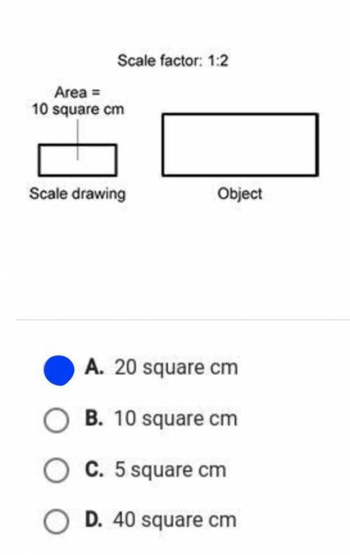 What is the area of the real object that the scale drawing models?