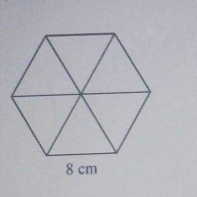 What is the area of the regular hexagon​
