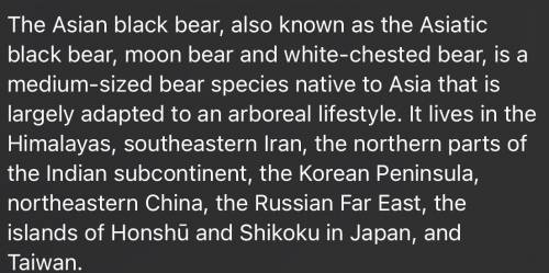 Okay so I want you to write a essay for me about Asiatic black bear