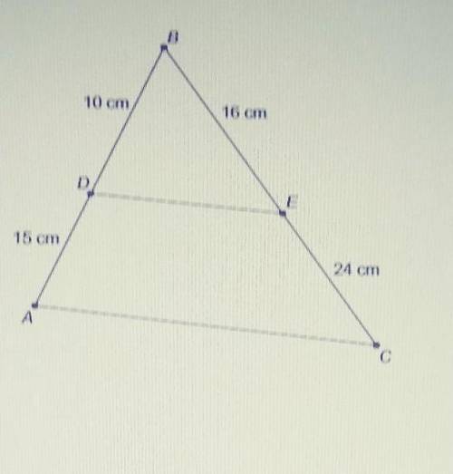 Is DBE similar to ABC? if so which postulate or theorem proves these two triangles are similar?​