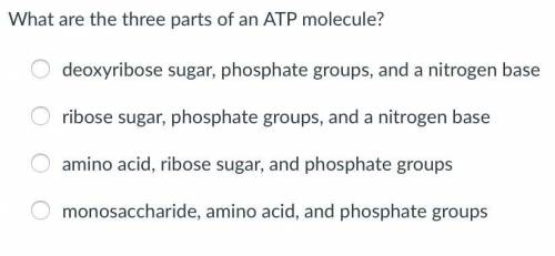 What are the three parts of an ATP molecule?