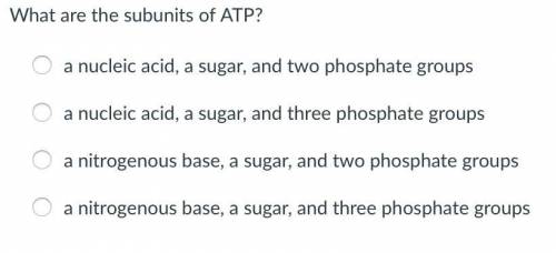 What are the subunits of ATP?