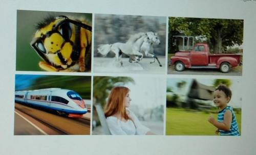 Select the correct images. From her stack of photographs, Alice has to pick images that a photograp