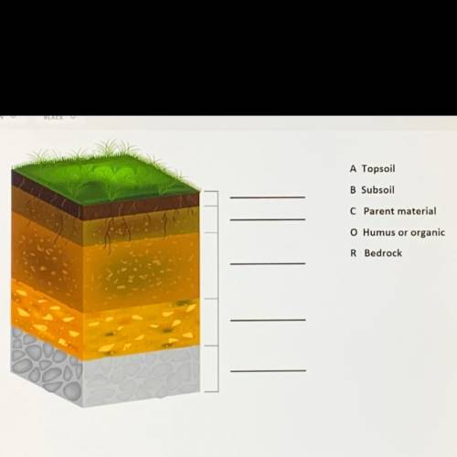 Label the soil horizons in the picture below using the letters for the correct soil horizon.

Plac