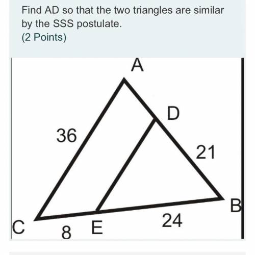 What does AD equal? PICTURE INCLUDED* Triangle congruence and similarity.