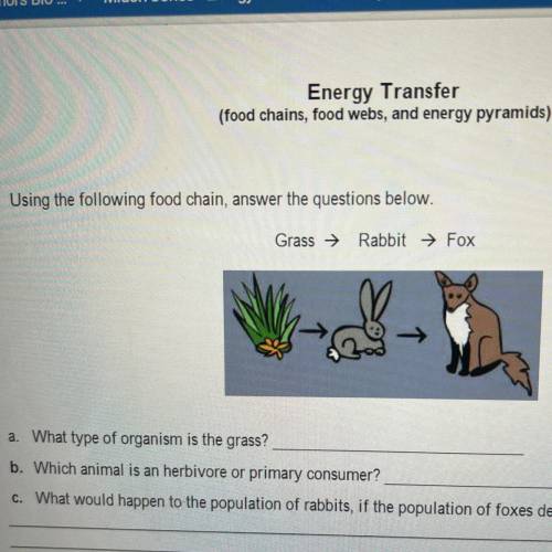 1. Using the following food chain, answer the questions below.

Grass →
Rabbit → Fox
a. What type