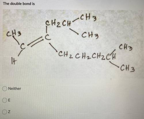 What is the double bond?