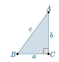 Use the following triangle and trigonometric ratios to help demonstrate the

relationship between