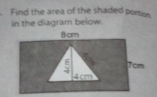 Please tell me the answer and explain it too please!!!​